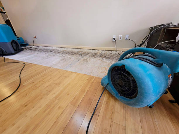 Professional Water Extraction technician working in Wales, MA